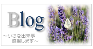  ラロームブログ